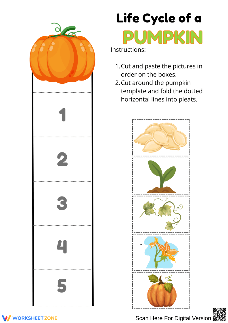 Pumpkin Life Cycle Cut and Paste Worksheet - Page 1