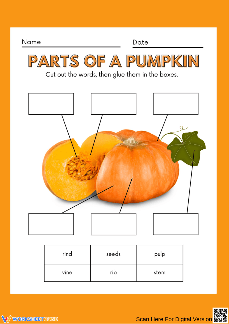 Parts of a Pumpkin Craft Worksheet for Grade 2 - Page 1