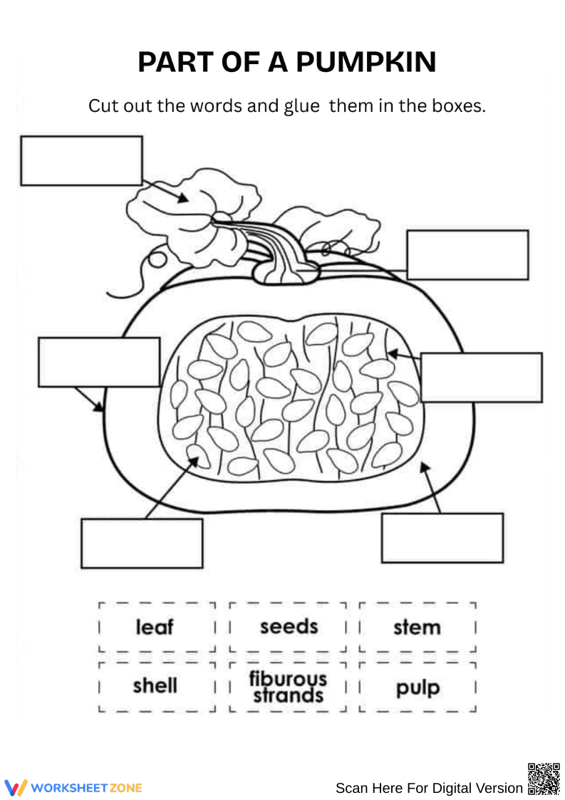 Part of a Pumpkin Cut-and-Paste Activity - Page 1