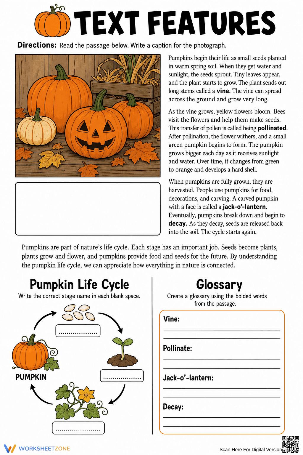 Essential Pumpkin Text Features Worksheet | Grades 6-8 - Page 1