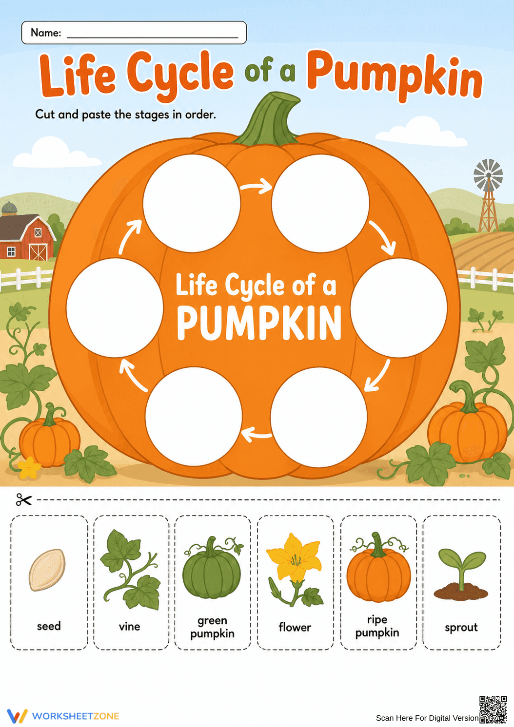 Printable Pumpkin Life Cycle Worksheet | Grade 3 Science - Page 1
