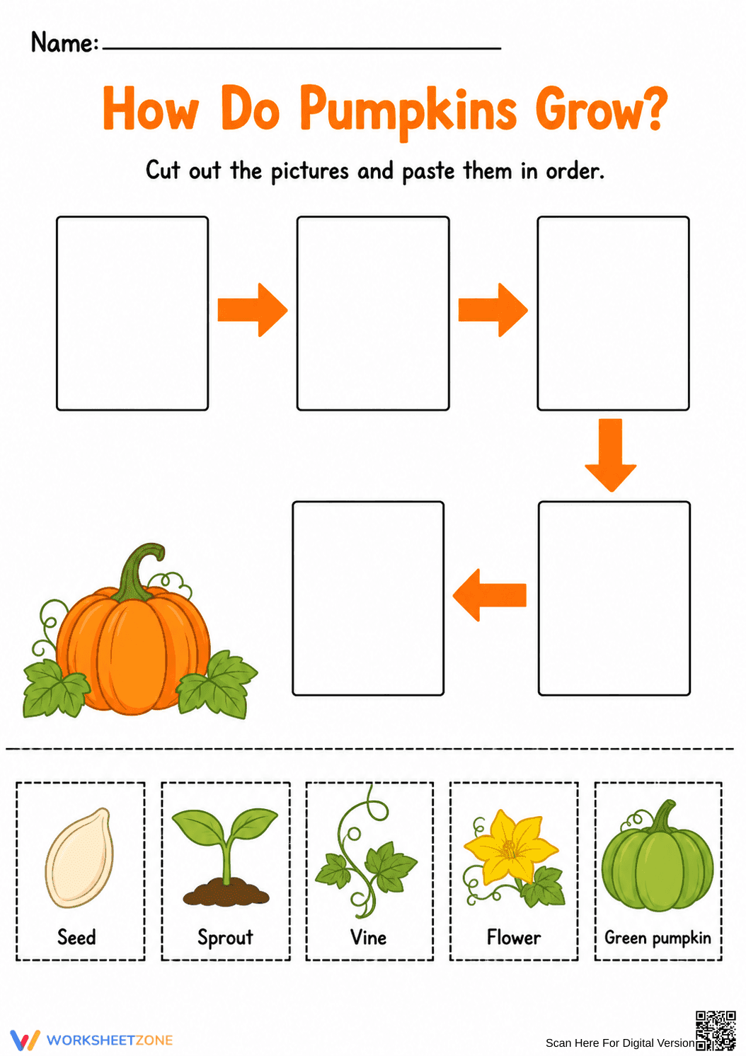 Printable Pumpkin Life Cycle Worksheet | Grade 3 Science - Page 1
