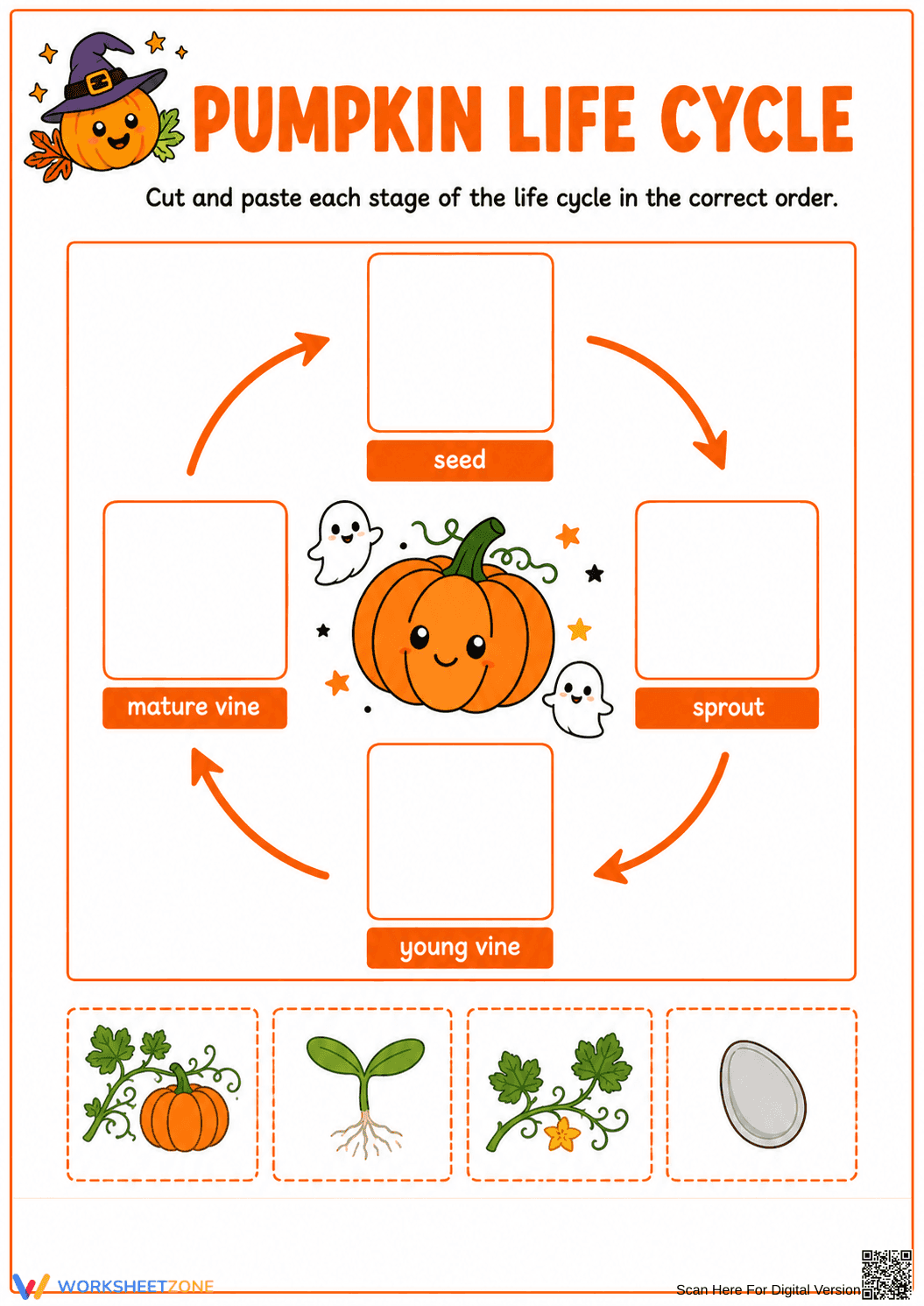 Pumpkin Life Cycle Worksheet | Essential Grade 1-2 Science - Page 1
