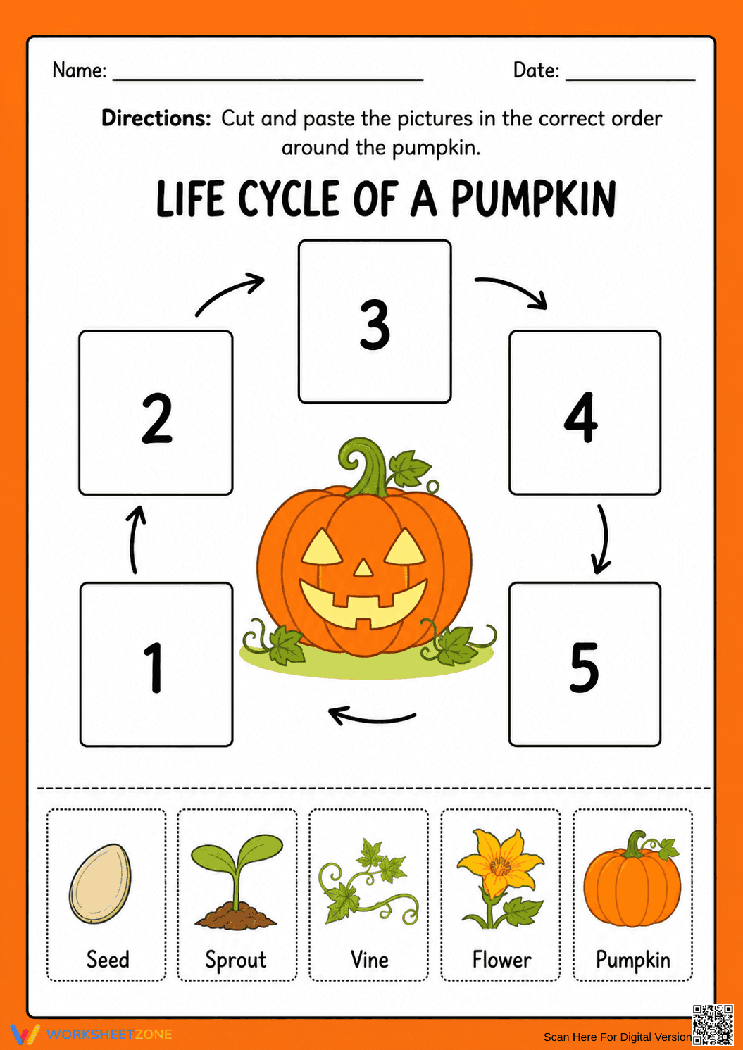 Grade 1 Pumpkin Life Cycle — Printable No-Prep Worksheet - Page 1