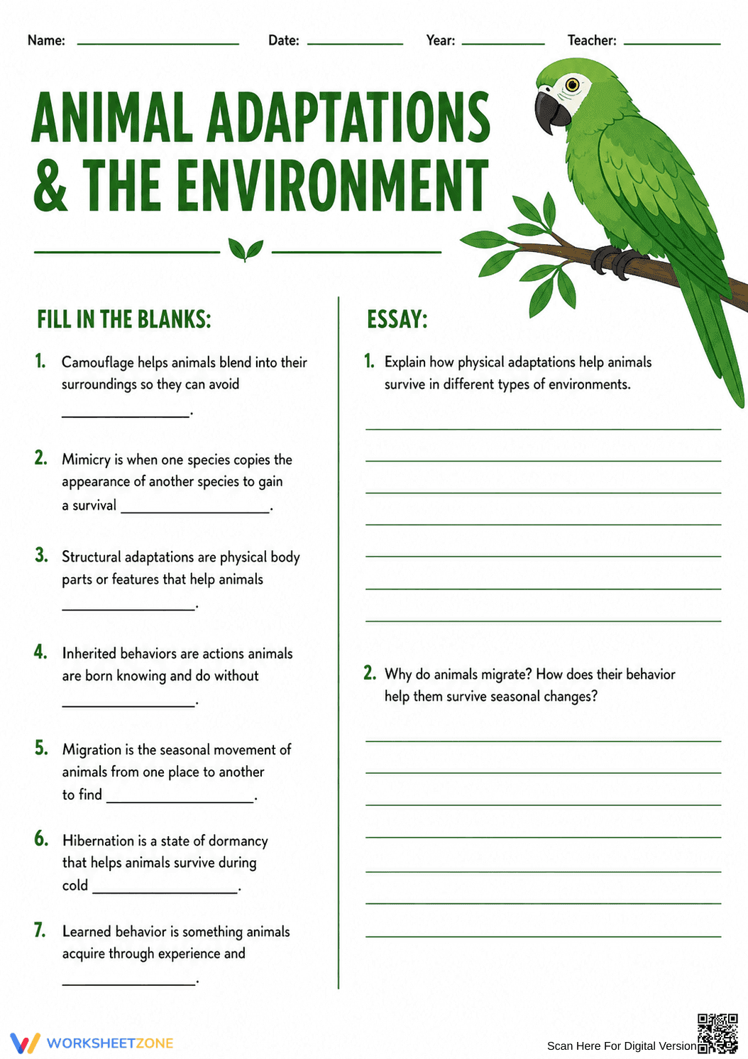 Essential Animal Adaptations Worksheet | Grade 7-9 Science - Page 1