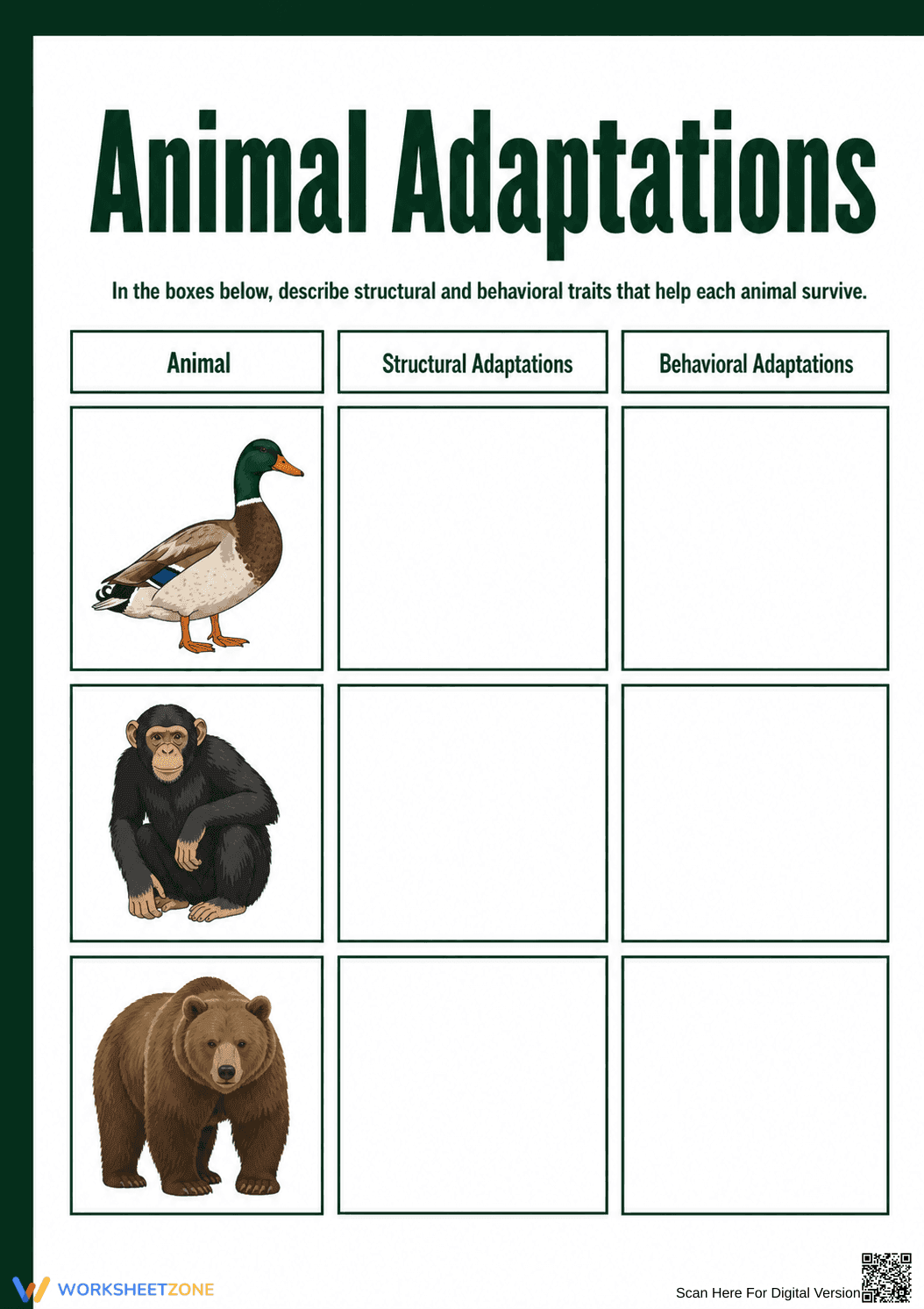 Grade 7 Animal Adaptations — Printable No-Prep Worksheet - Page 1
