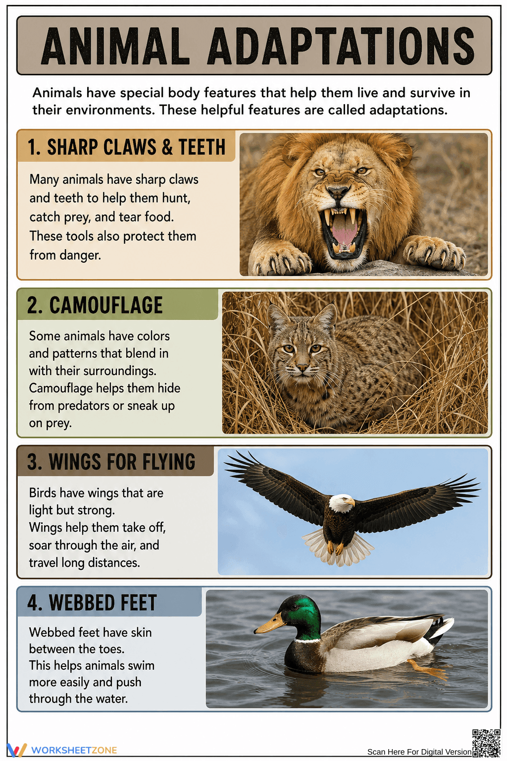Grade 6 Animal Adaptations — Printable No-Prep Chart - Page 1
