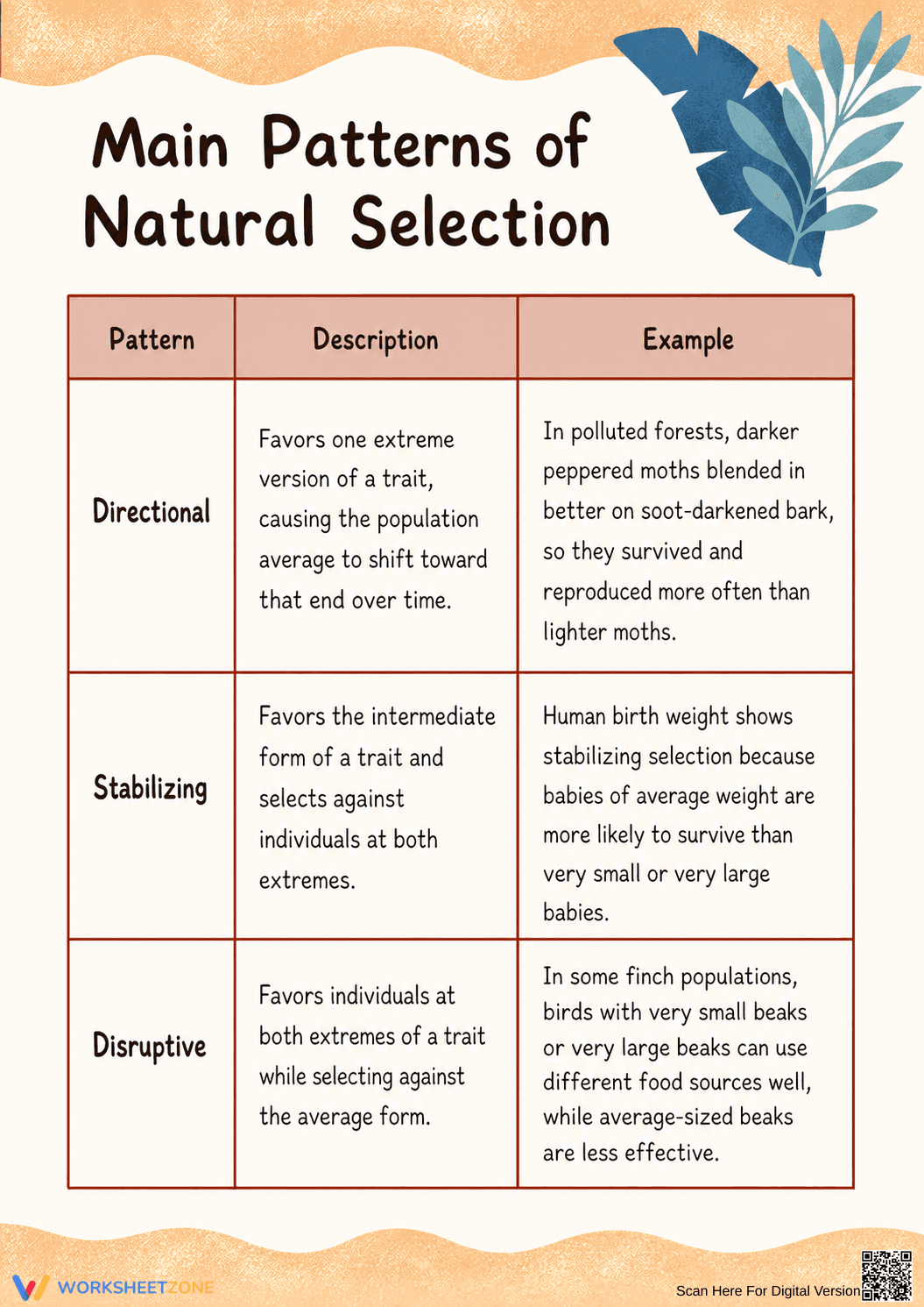 Printable Natural Selection Patterns Chart | Grade 9 Biology - Page 1