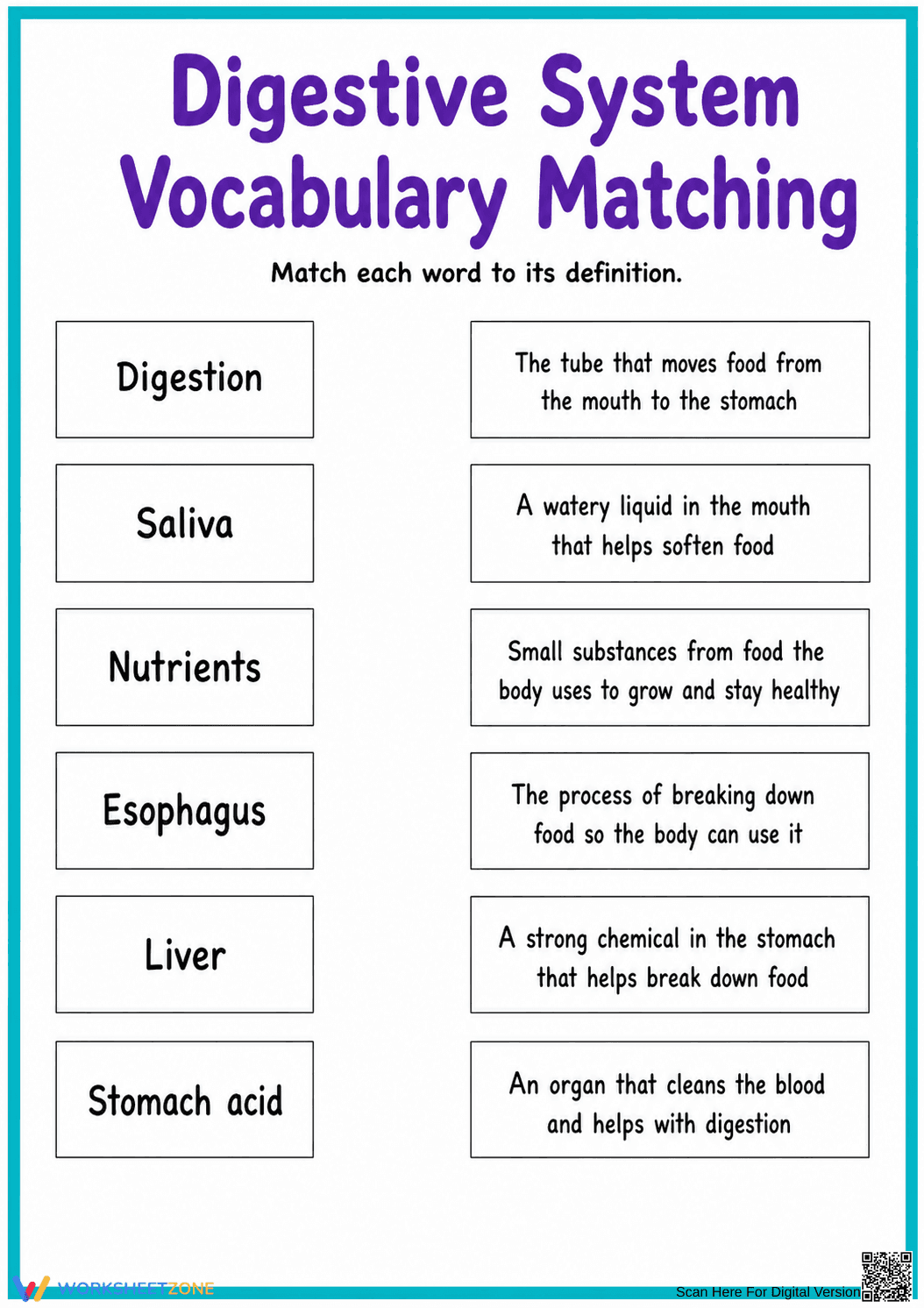 Essential Digestive System Vocabulary Worksheet | Grade 4 - Page 1