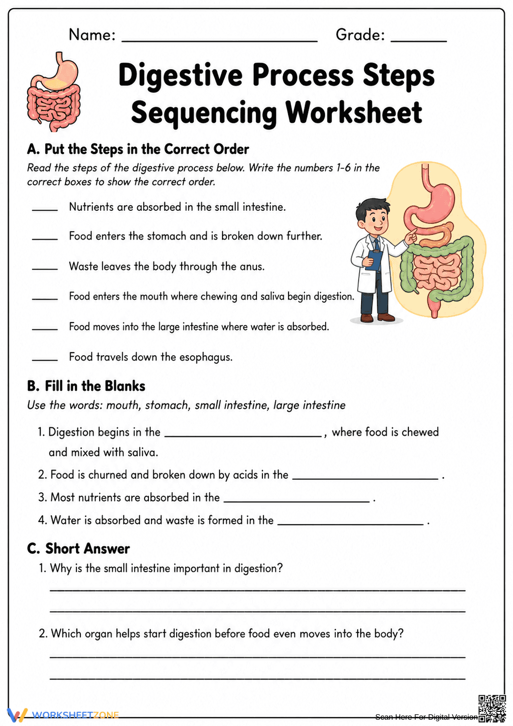 Printable Digestive Process Worksheet | Grade 4 - Page 1