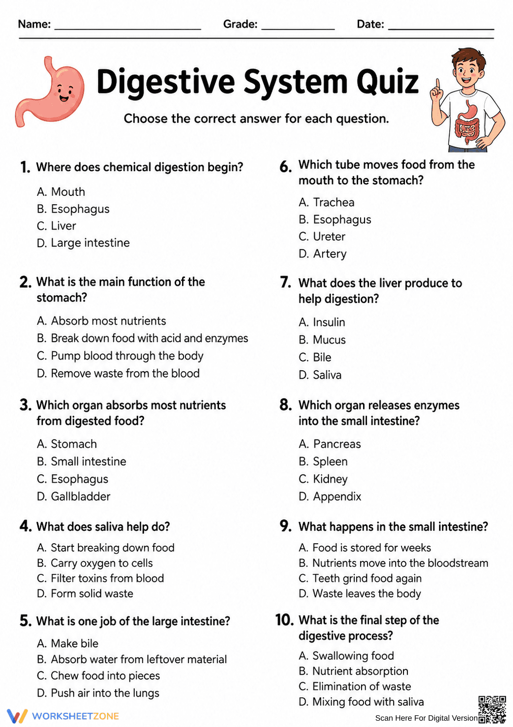 Digestive System Quiz | Essential Grades 6-8 - Page 1