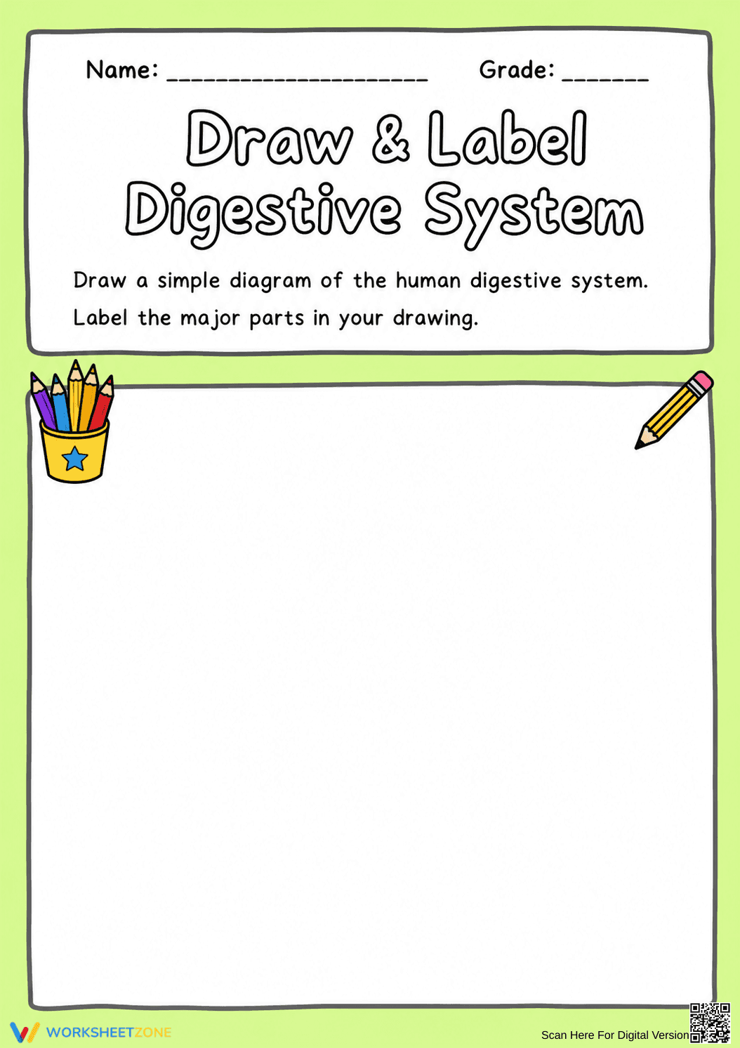 Grade 6 Digestive System — Printable No-Prep Worksheet - Page 1