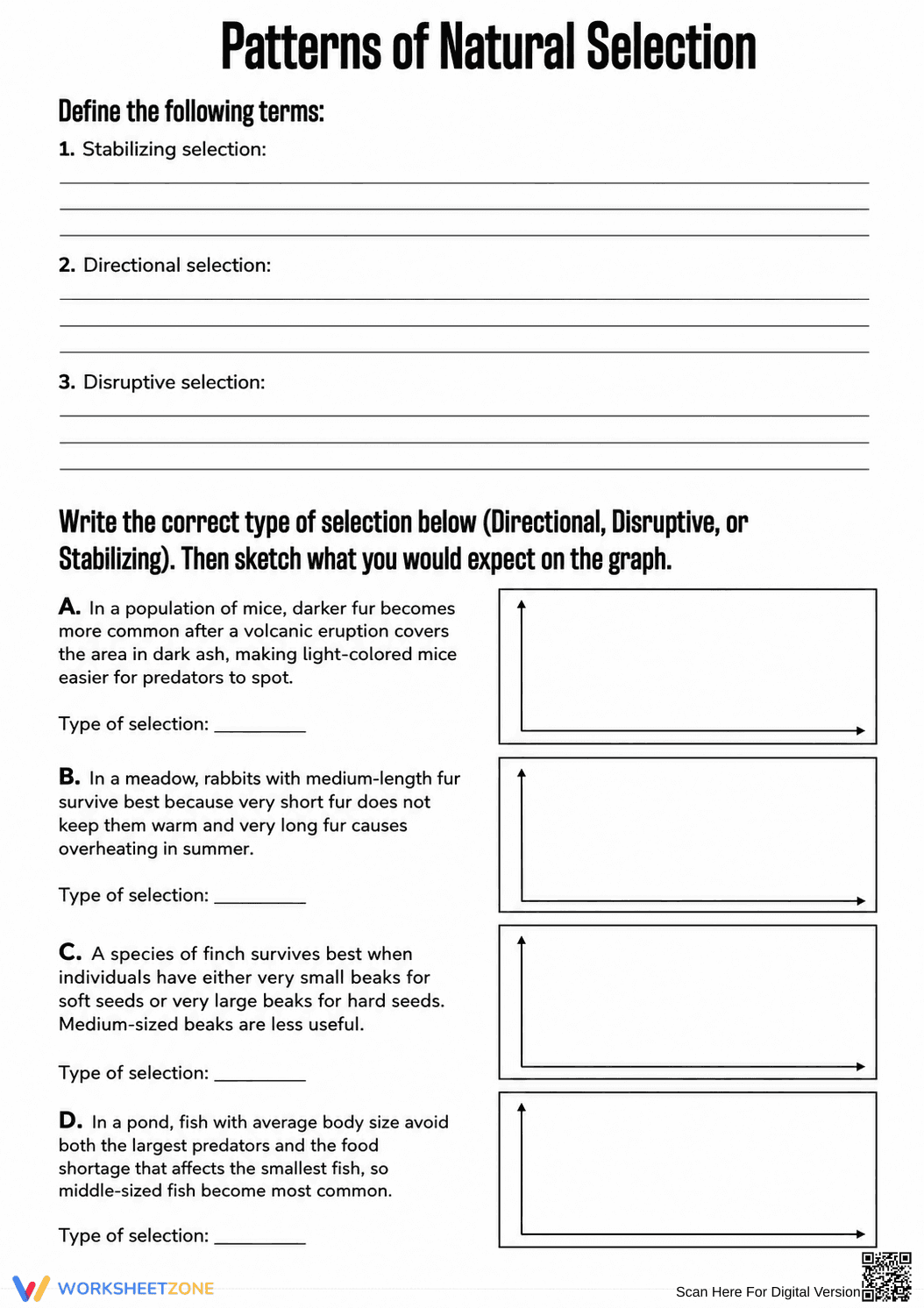 Patterns of Natural Selection Worksheet | Essential Biology - Page 1