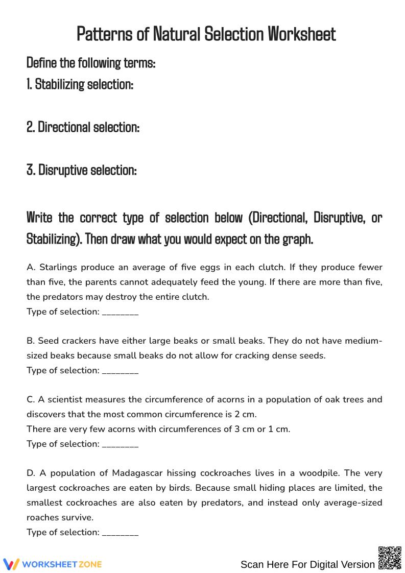 Patterns of Natural Selection - Page 1