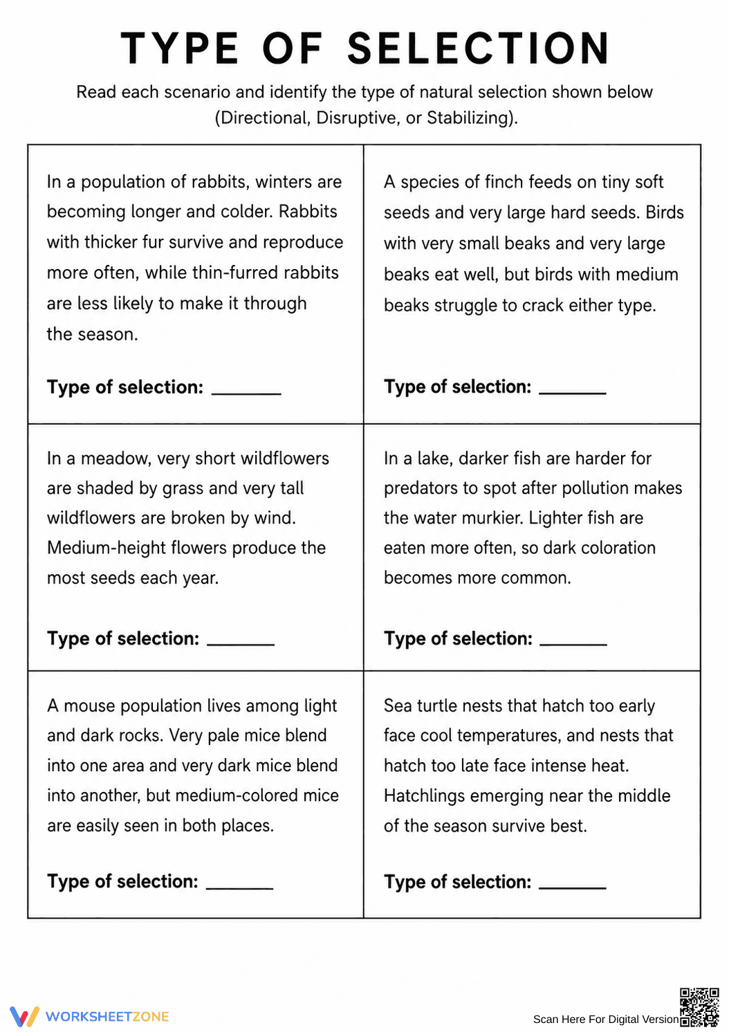 Natural Selection Patterns Worksheet | Essential Grade 9-12 - Page 1