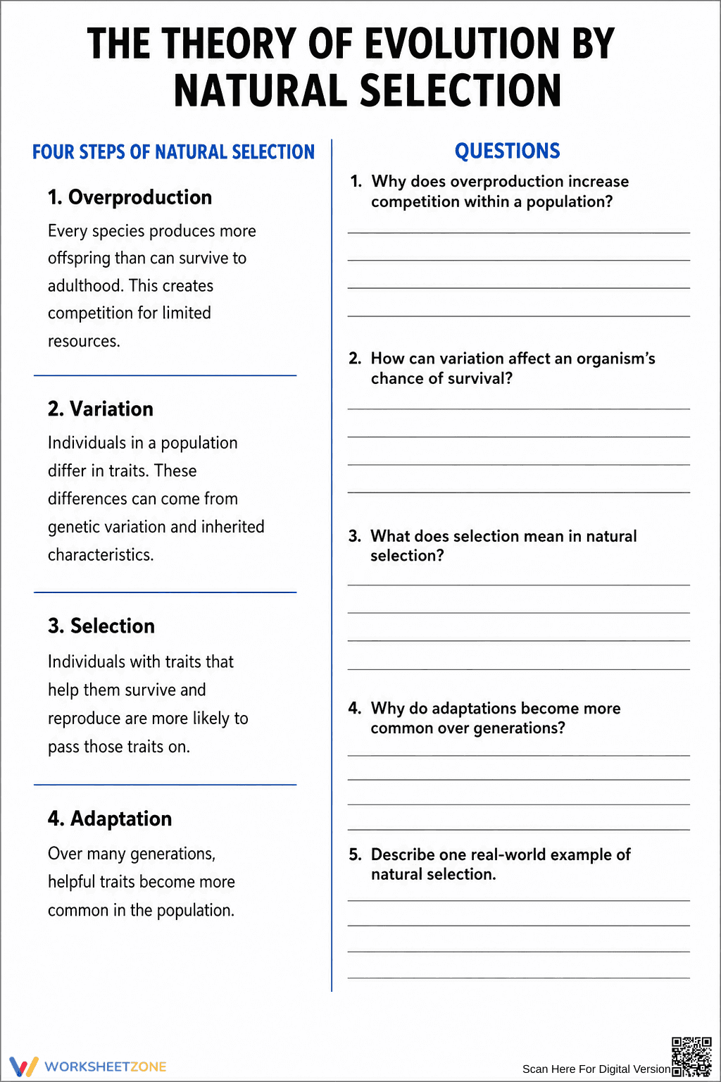 Natural Selection Steps Worksheet | Grade 7-10 Essential - Page 1