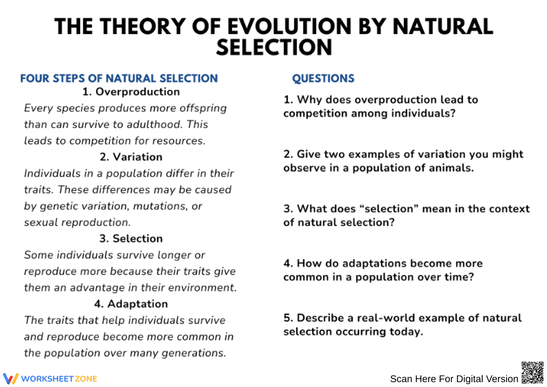 The Theory of Evolution by Natural Selection – Steps & Comprehension Questions Worksheet - Page 1