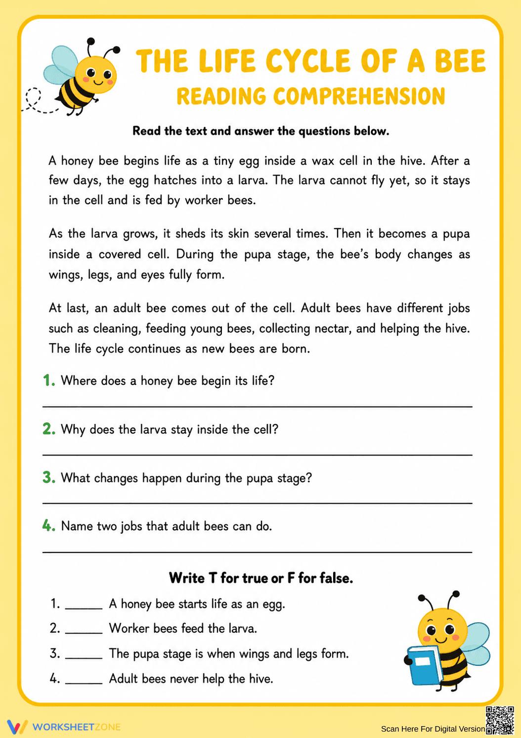 Grade 3 Bee Life Cycle — Printable No-Prep Worksheet - Page 1