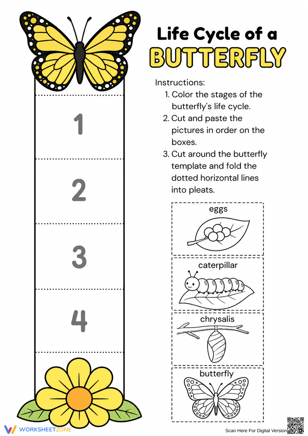 Butterfly Life Cycle Worksheet | Grade 2 Essential - Page 1