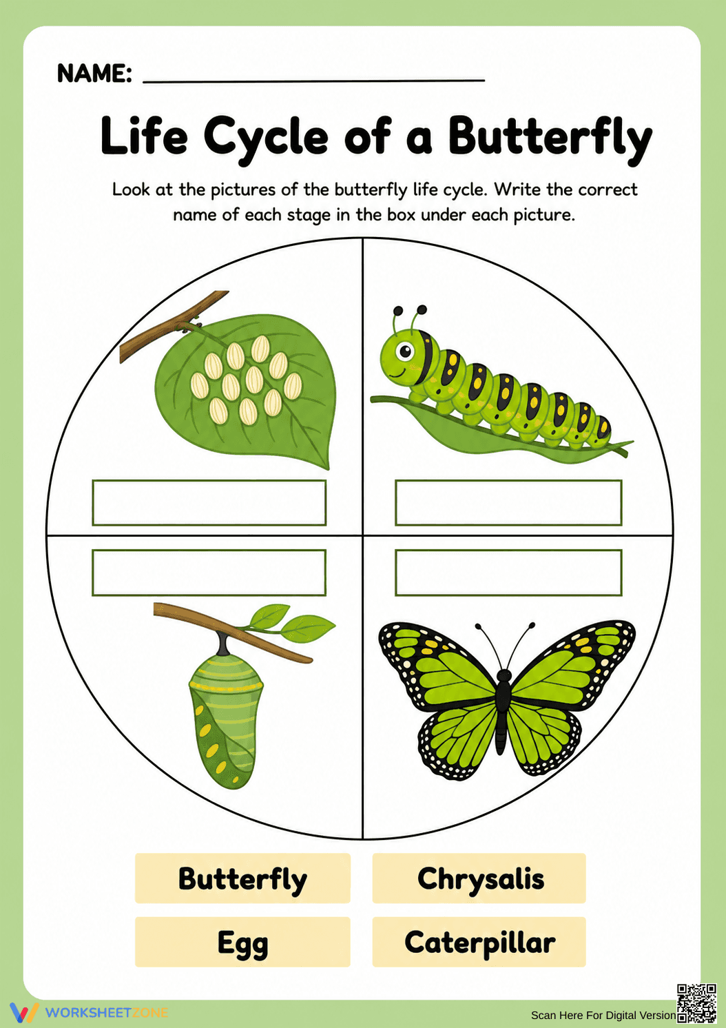 Printable Butterfly Life Cycle Worksheet | Grade 3 Science - Page 1
