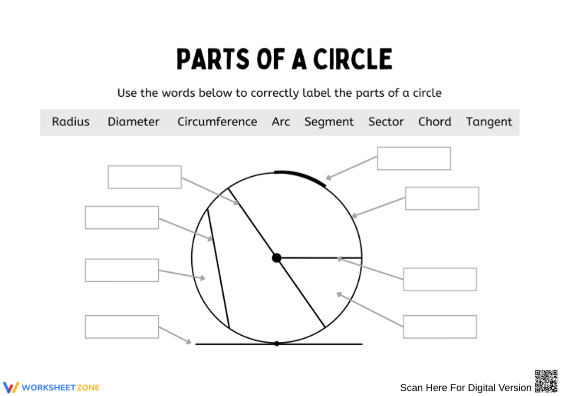 Parts of a Circle Labeling Worksheet - Page 1