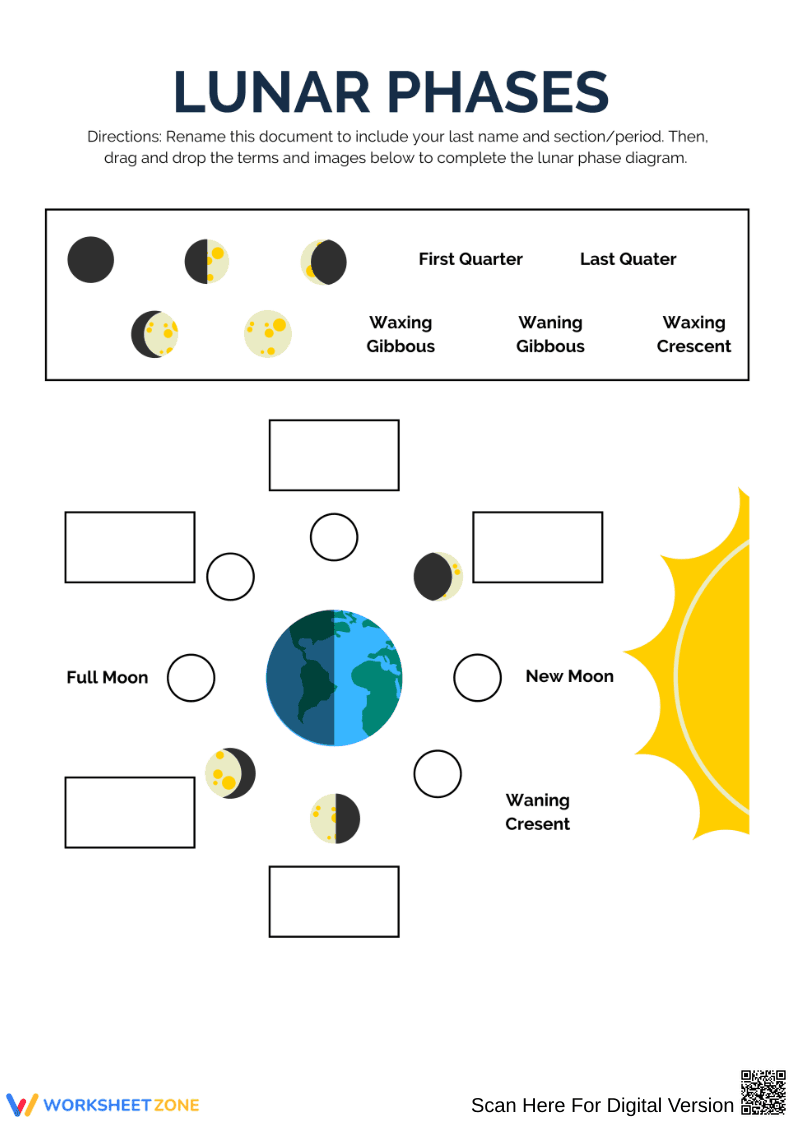 Lunar Phases Drag-and-Drop Diagram Worksheet - Page 1