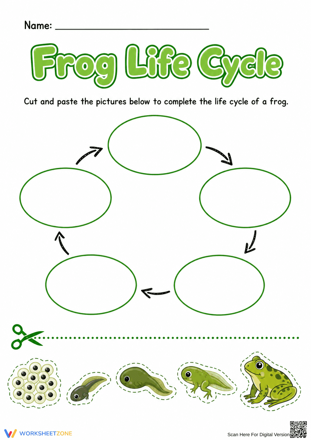 Frog Life Cycle Printable Worksheet | Grade 1-2 Science - Page 1