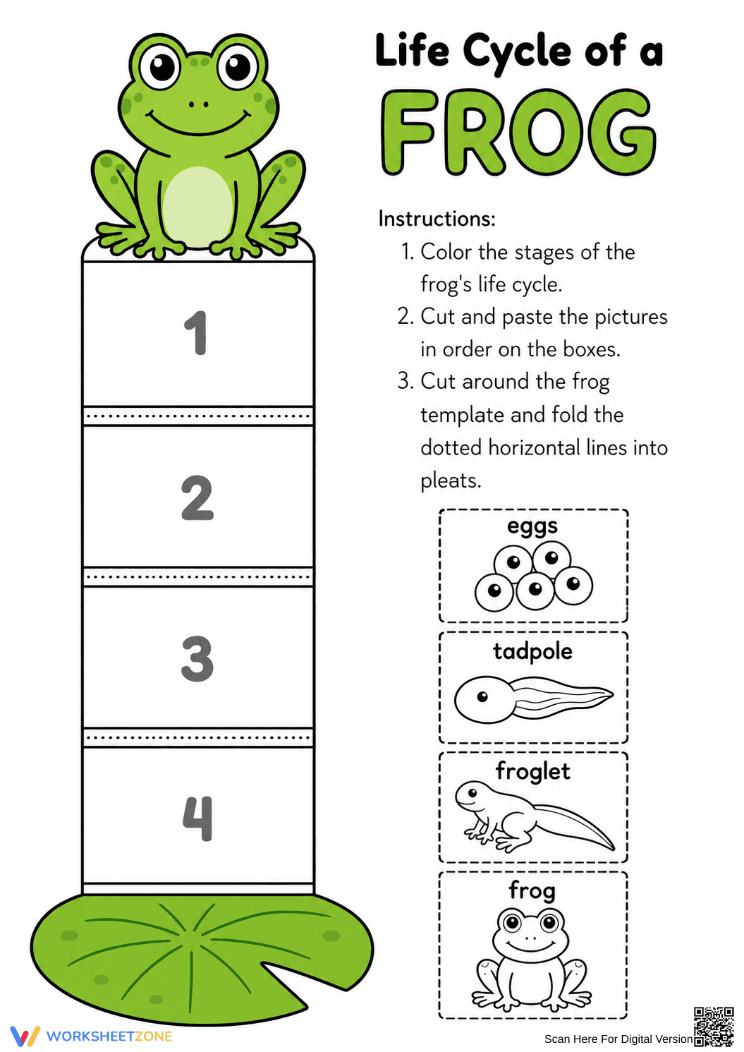 Grade 3 Frog Life Cycle — Printable No-Prep Worksheet - Page 1