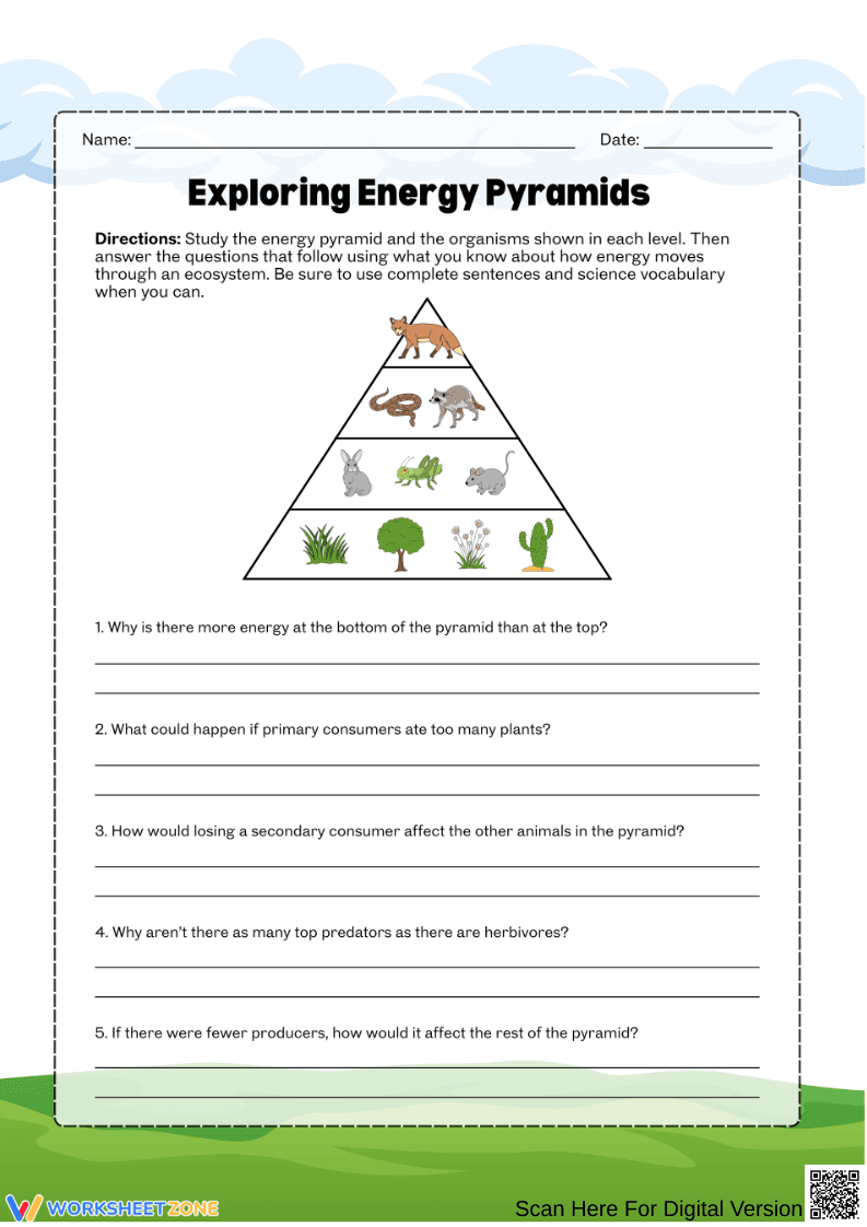 Energy Pyramid-Trophic Levels and Energy Flow - Page 1