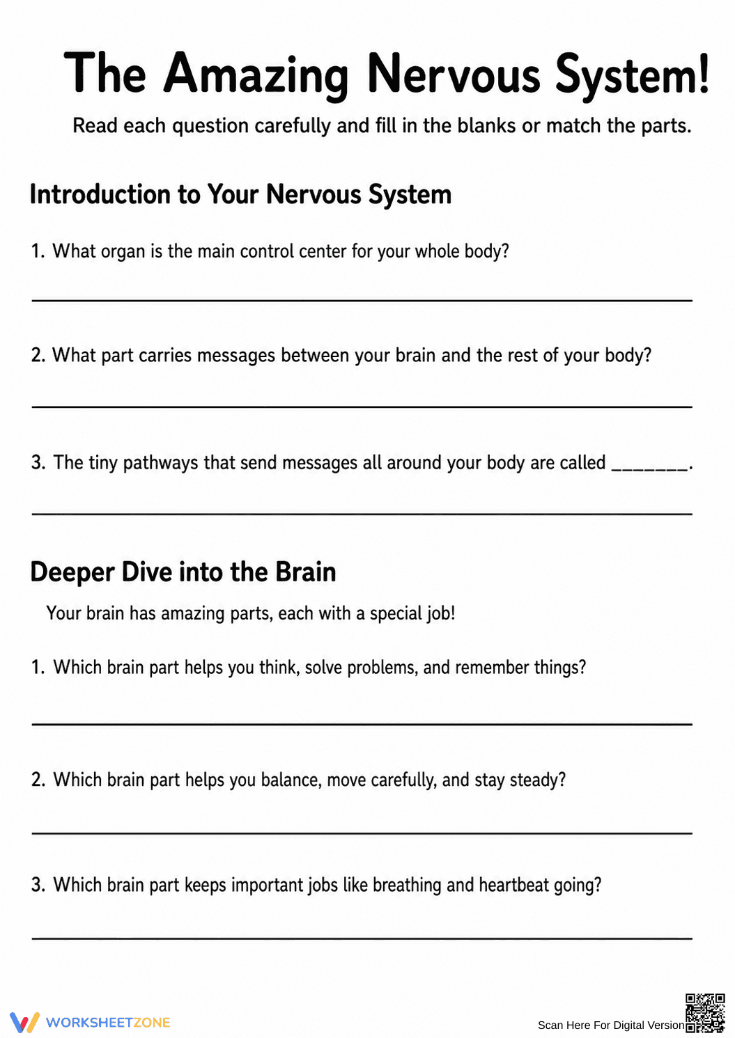 Essential Nervous System Worksheet | Grade 4-5 Science - Page 1