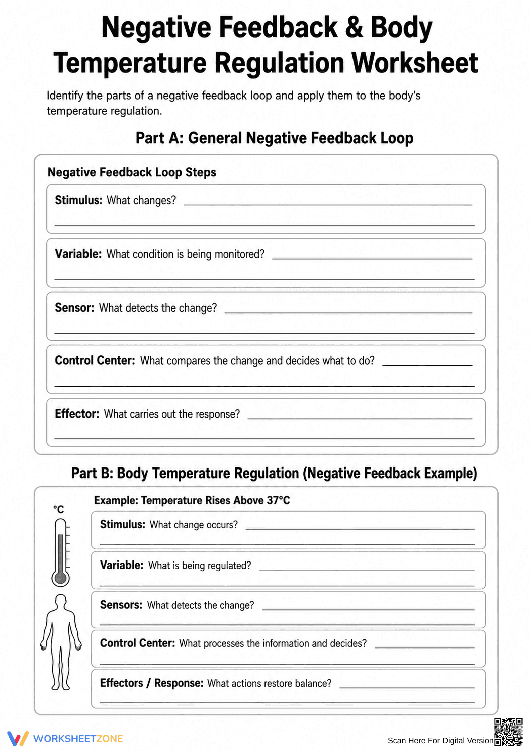 Printable Negative Feedback Worksheet | Grade 7 Science - Page 1