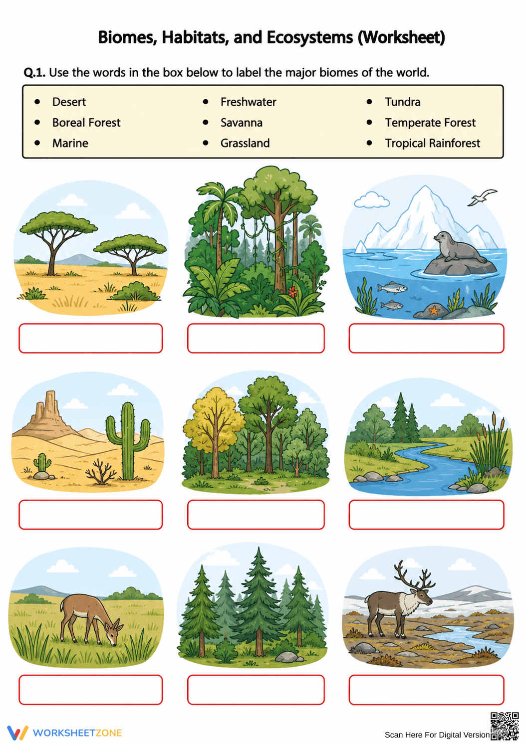 Essential Biomes and Ecosystems Labeling | Grade 5 Science - Page 1