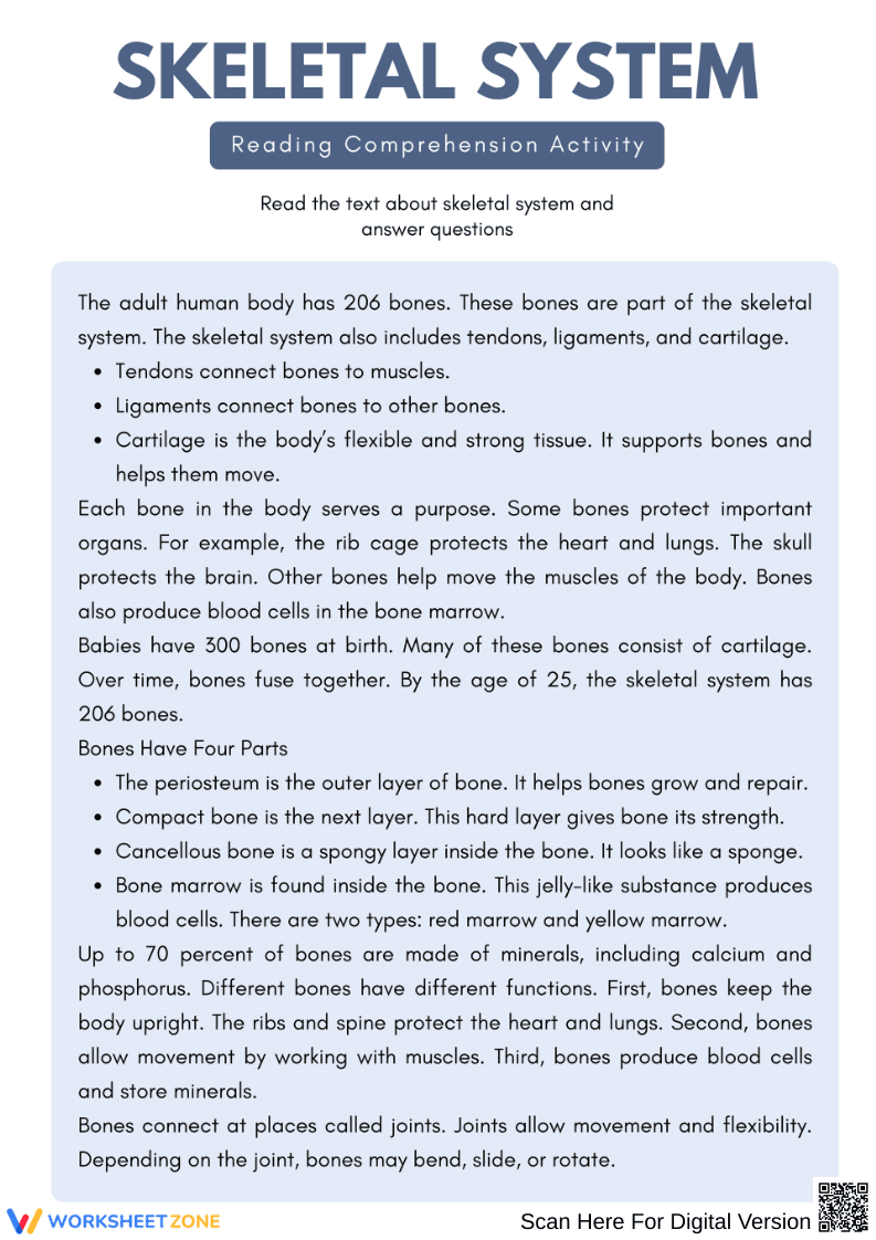 Skeletal System Reading Comprehension Worksheet - Page 1