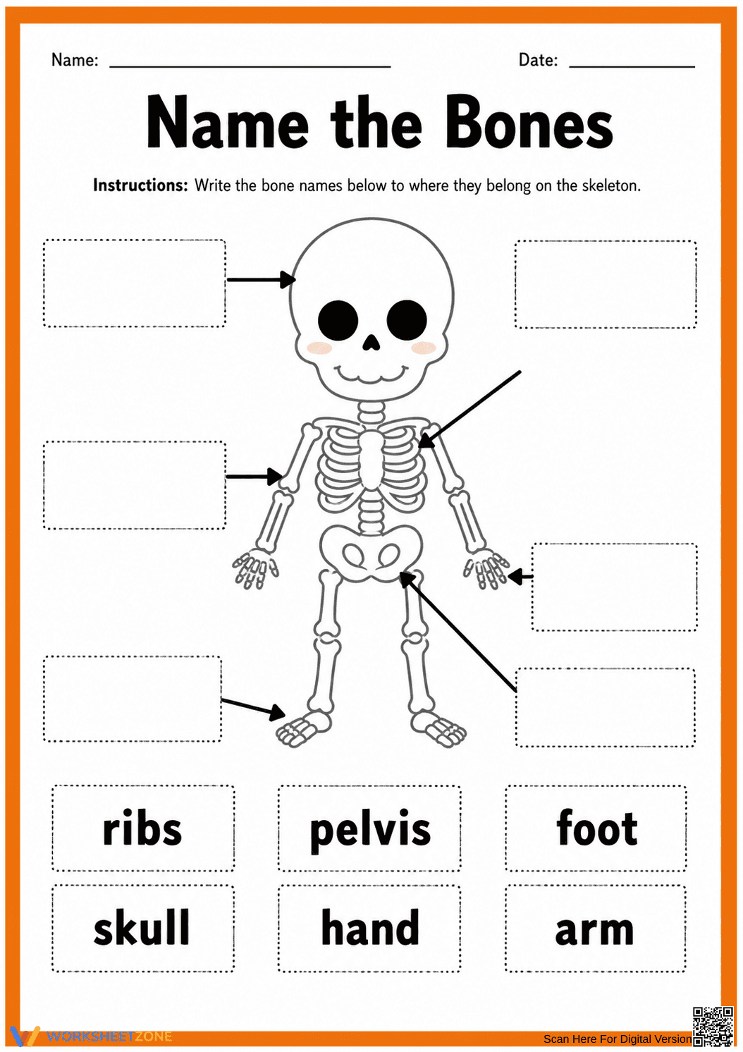 Name the Bones Labeling Worksheet | Essential Grade 3-5 - Page 1