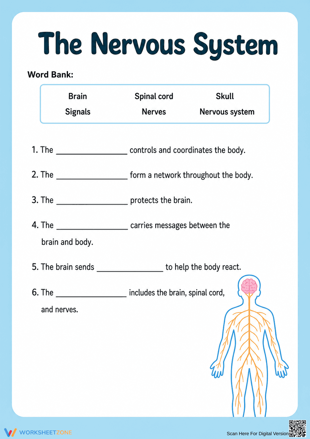 Grade 4 Nervous System — Printable No-Prep Worksheet - Page 1