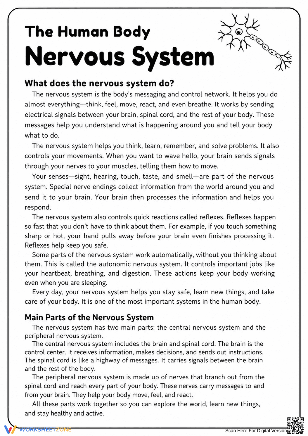 Printable Nervous System Worksheet | Grade 5-6 Science - Page 1
