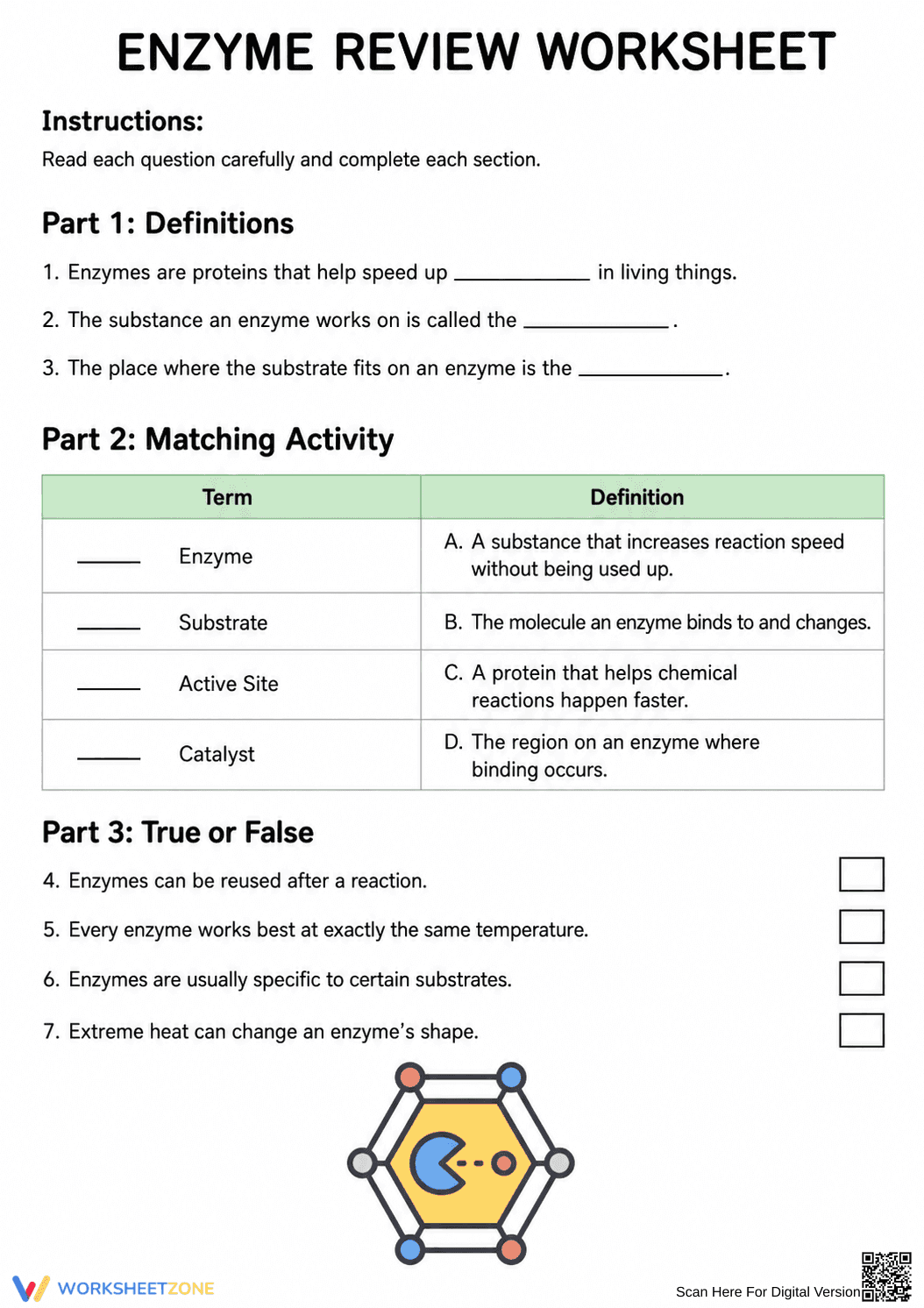 Enzyme Review Worksheet | Essential Grade 6-9 Science - Page 1