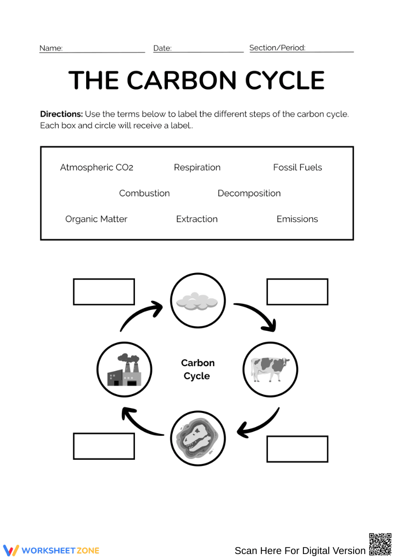 The Carbon Cycle Labeling Worksheet - Page 1