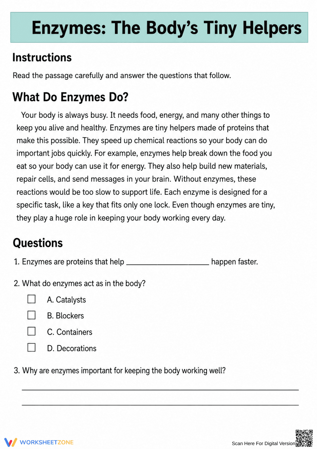 Enzymes Reading Worksheet | Essential Grade 5-8 Science - Page 1