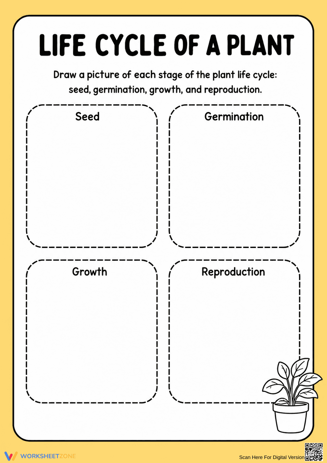 Grade 3 Plant Life Cycle — Printable No-Prep Worksheet - Page 1