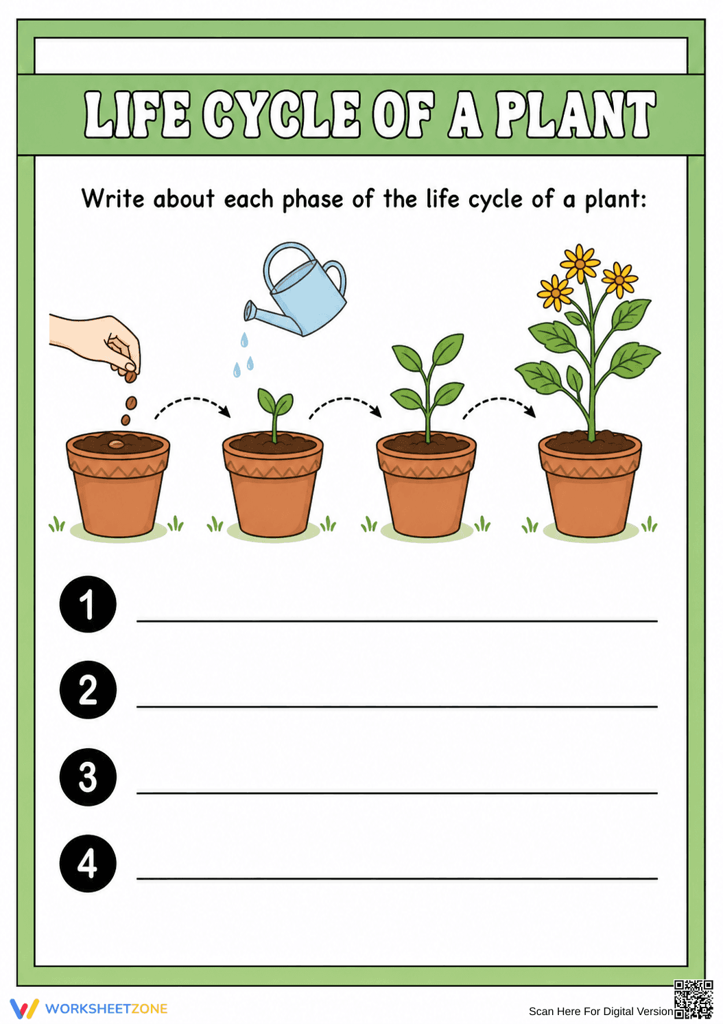 Printable Plant Life Cycle Worksheet | Grade 3 Science - Page 1