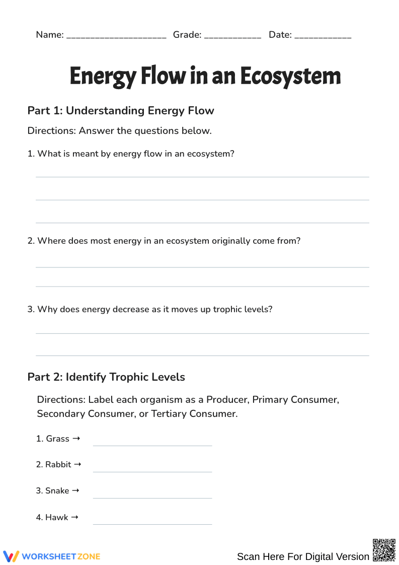 Energy Flow in an Ecosystem Worksheet - Page 1
