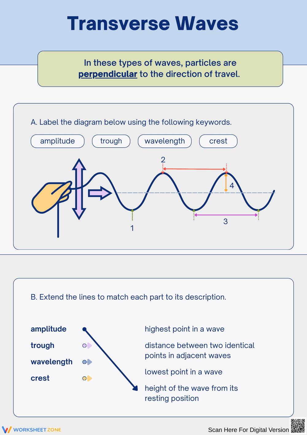 Understanding Transverse Waves: Label and Match Activities - Page 1