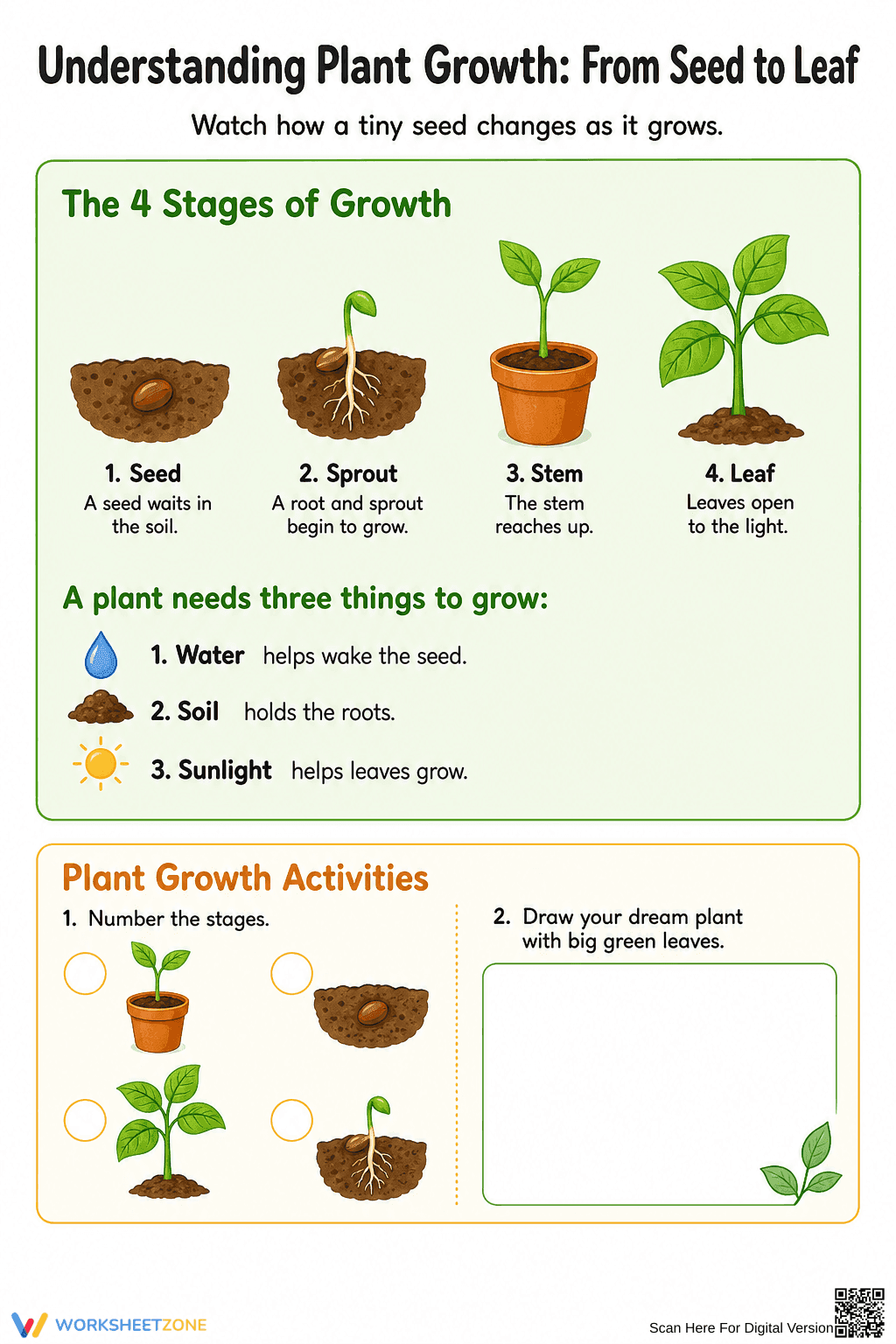 Printable Plant Life Cycle Worksheet | Grade K-1 Science - Page 1