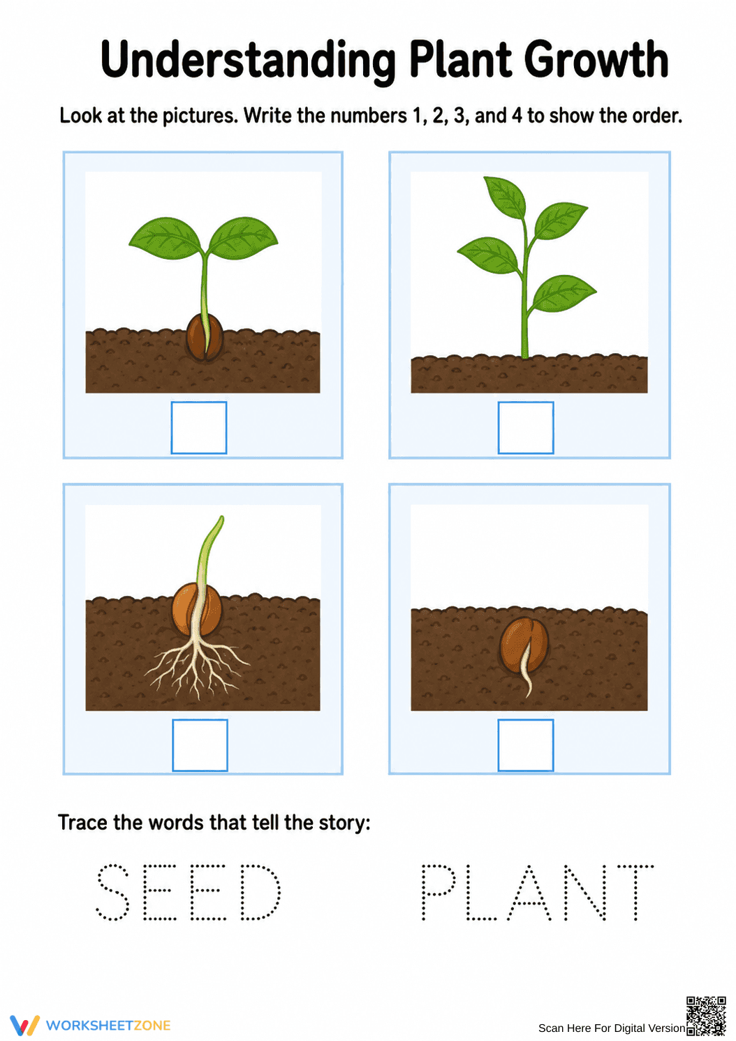 Printable Plant Growth Worksheet | Kindergarten Science - Page 1