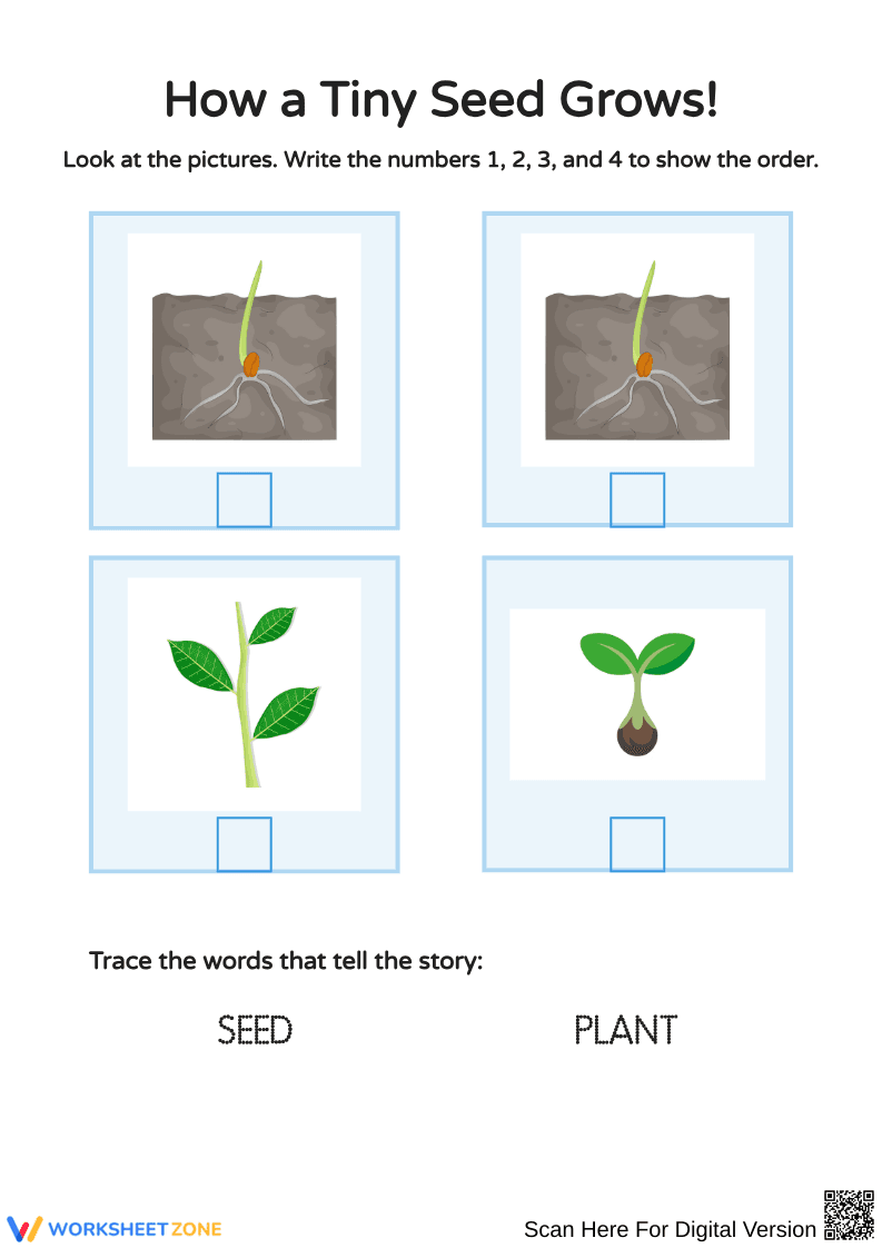 Understanding Plant Growth for Young Learners - Page 1