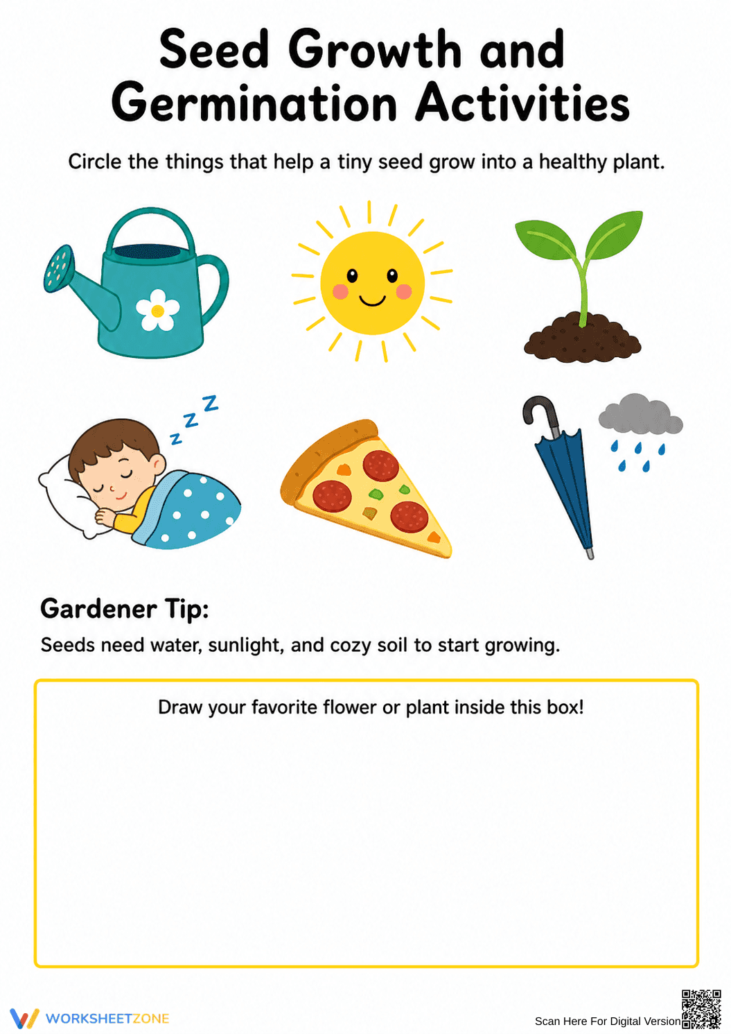 Printable Seed Germination Worksheet | Grade K-2 Science - Page 1