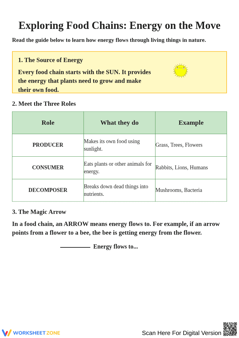 Exploring Food Chains: Energy Flow and Roles - Page 1