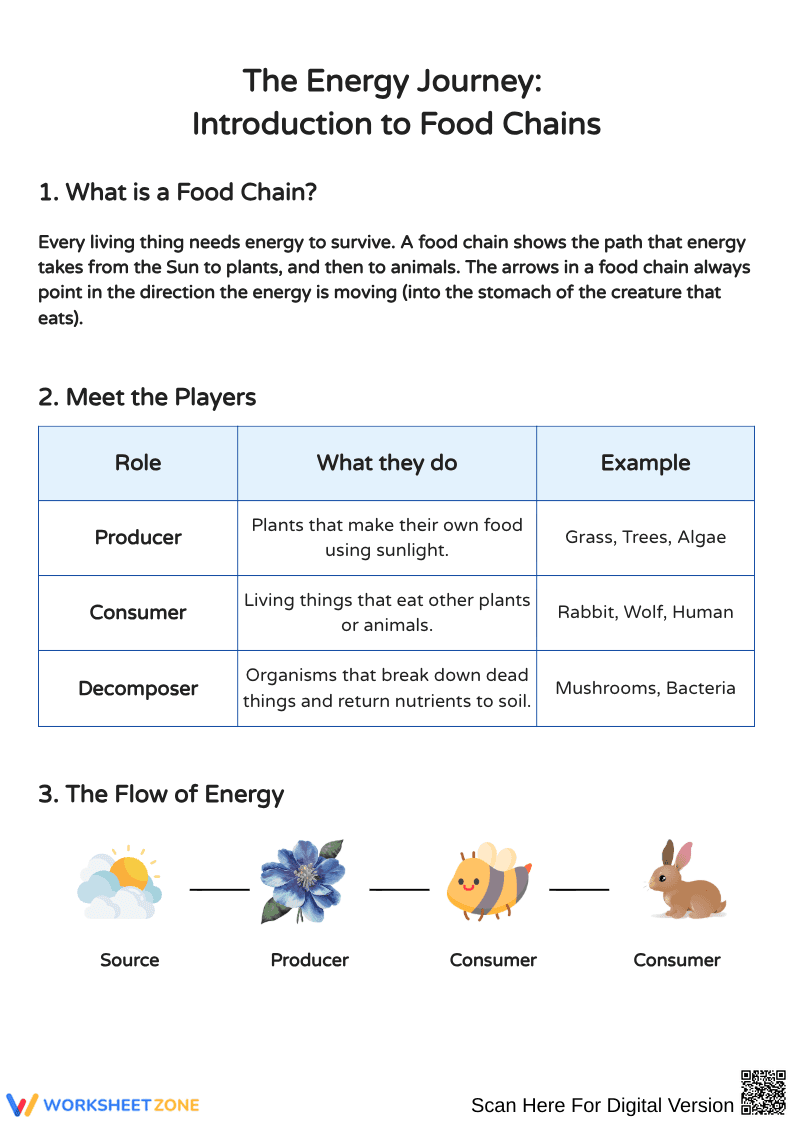 Understanding Food Chains: Energy Flow in Nature - Page 1