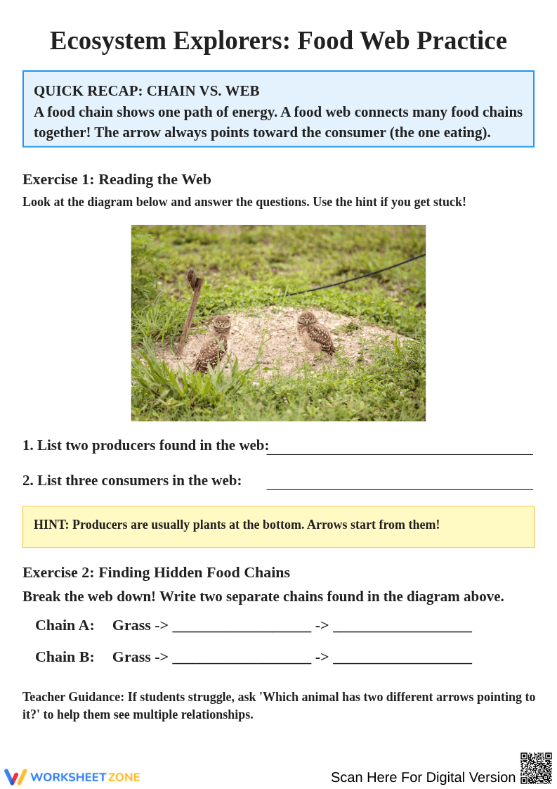 Ecosystem Explorers: Understanding Food Webs - Page 1